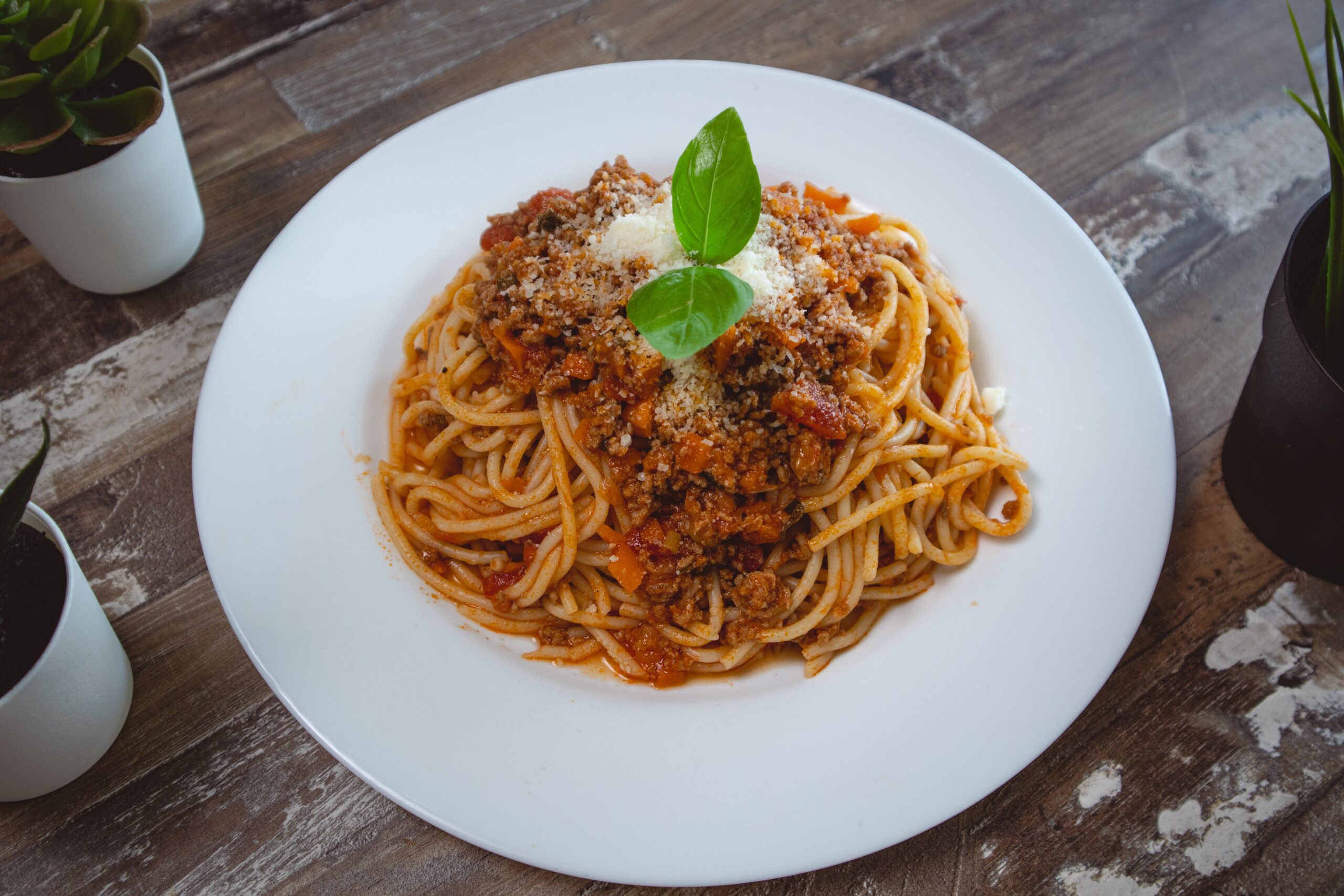 spaghetti with homemade spaghetti sauce seasoning